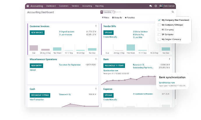 Odoo Accounting App from Finance Apps