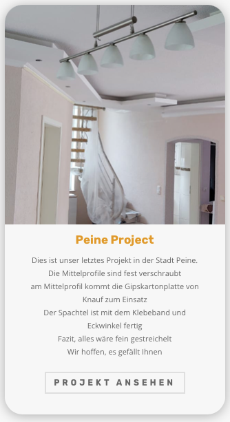 A screenshot of the Peine project implemented by HM